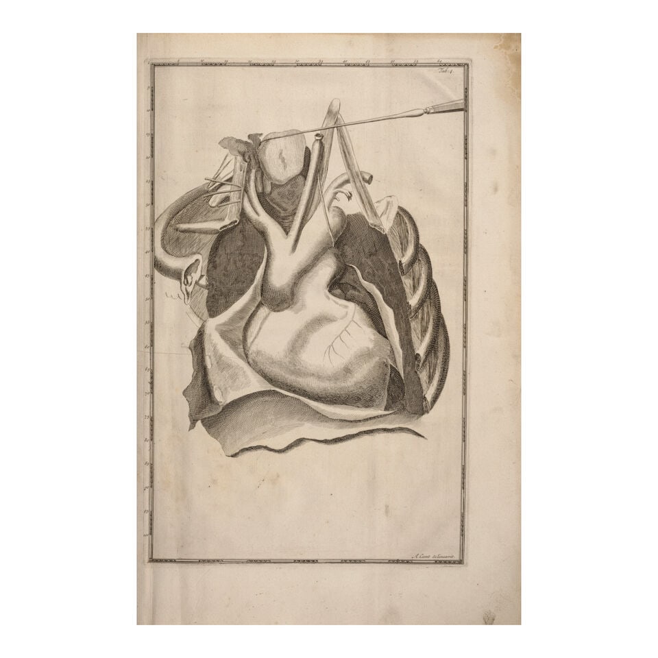 CANT, (ARENT). (1695 to 1723). Impetus primi anatomici ex lustratis cadaveribus nati, quos propr... - 2