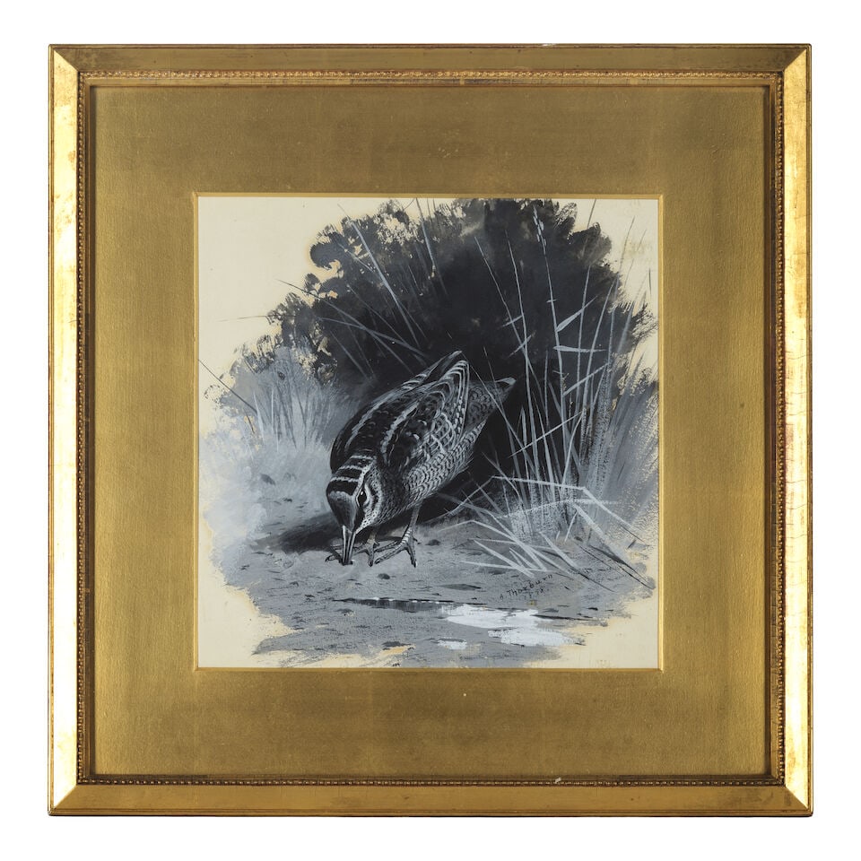Archibald Thorburn (British, 1860-1935) Woodcock - 2
