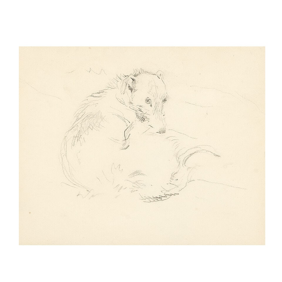 Sir Edwin Henry Landseer, RA (British, 1802-1873) Study of a Scottish deerhound: Sir Edwin Henry Landseer, RA (British, 1802-1873) Study of a Scottish deerhound pencil 11 x 13cm (4 5/16 x 5 1/8in). For further information on this lot please visit Bonhams.com For further informatio