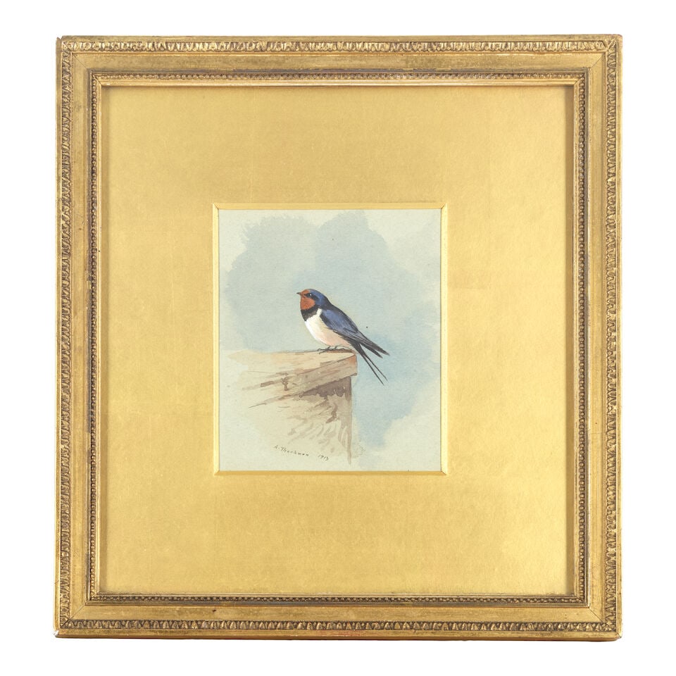 Archibald Thorburn (British, 1860-1935) Swallow - 2