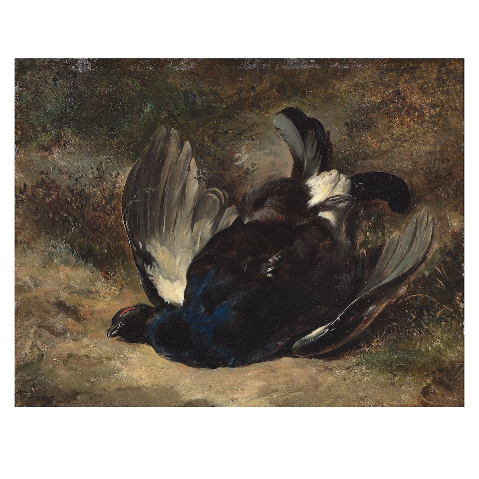 Heywood Hardy (British, 1842-1933) Study of a blackcock: Heywood Hardy (British, 1842-1933) Study of a blackcock signed and dated 'H. HARDY 59' (lower left) oil on board 21 x 27cm (8 1/4 x 10 5/8in). Footnotes: Provenance With Moorland Gallery Ltd., London.