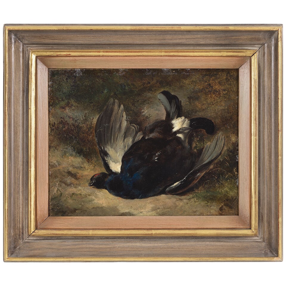 Heywood Hardy (British, 1842-1933) Study of a blackcock - 2
