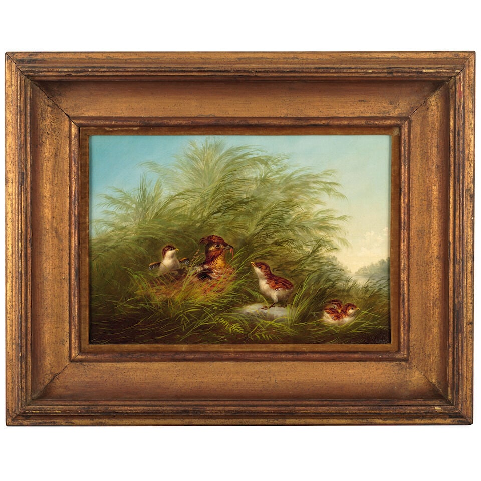 Attributed to Arthur Fitzwilliam Tait (1819-1905) Ruffed Grouse and Chicks 14 1/4 x 20 1/4 in. (... - 2