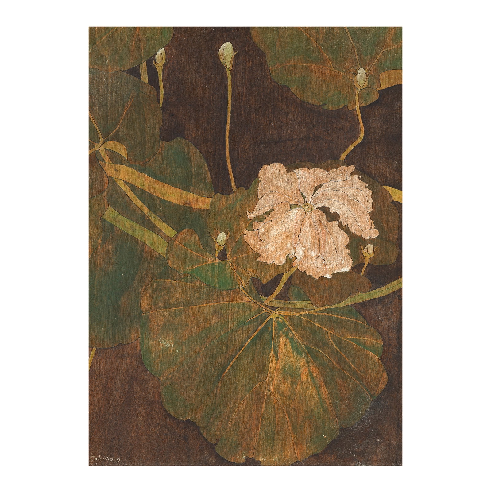 Ithell Colquhoun (British, 1906-1988) Courgette 33.4 x 24.6 cm. (13 1/8 x 9 3/4 in.) Painted cir...: Ithell Colquhoun (British, 1906-1988) Courgette signed 'Colquhoun.' (lower left); further signed and titled 'ITHELL COLQUHOUN/Courgette' (verso) pencil and oil on panel 33.4 x 24.6 cm. (13 1/8 x 9 3/4