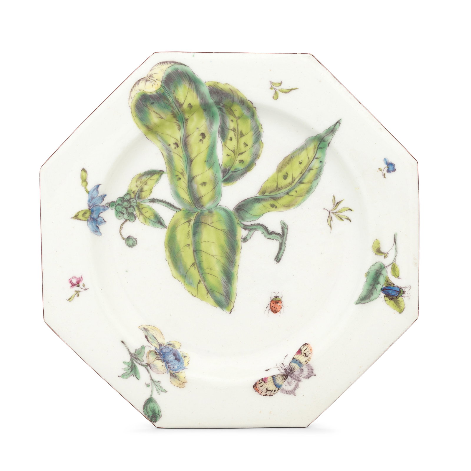 A Bow botanical plate, circa 1758-60: A Bow botanical plate, circa 1758-60 Of octagonal form with a fine brown line rim, painted with an unusual leafy botanical specimen, possibly borage, with a cluster of berry-like buds and a blue flowe