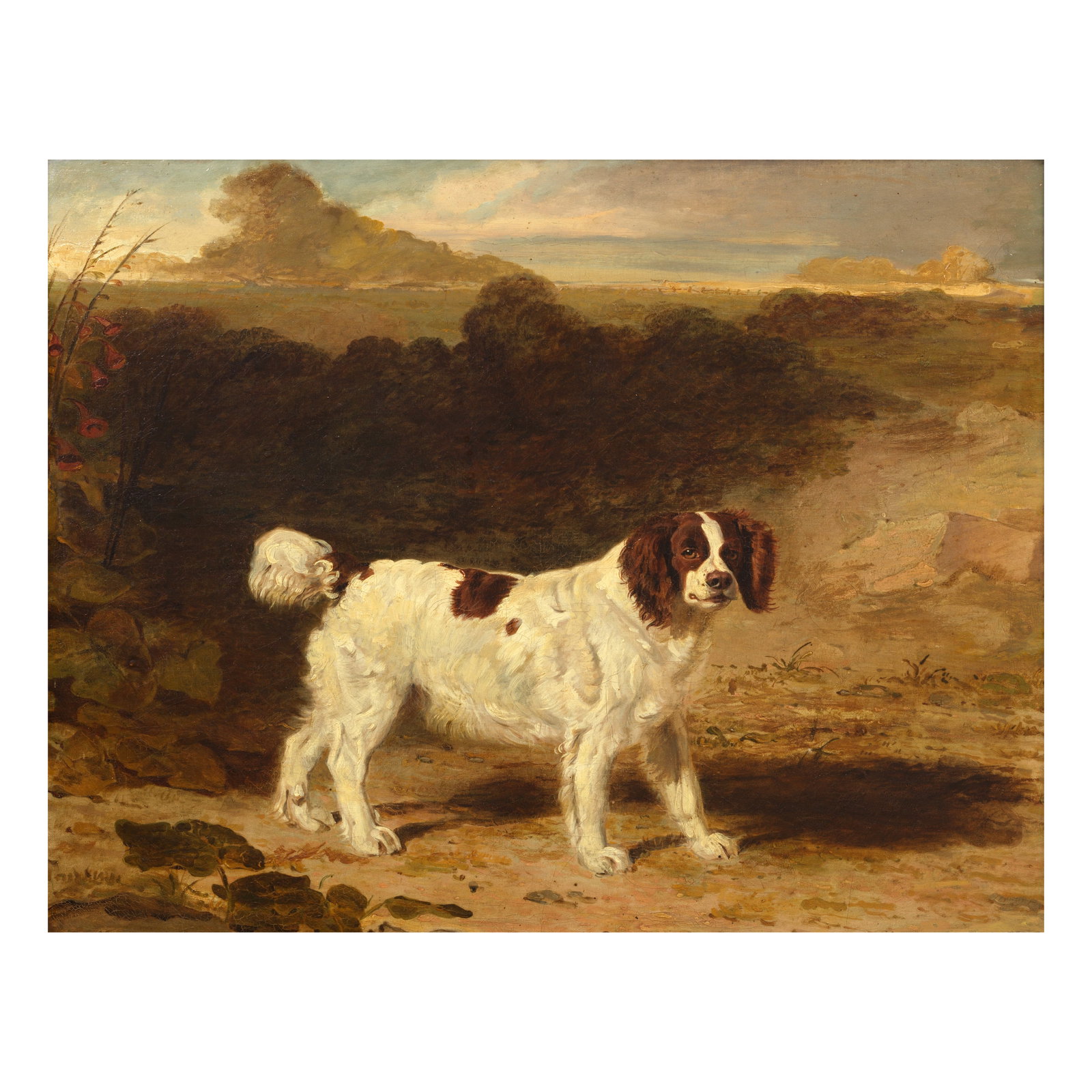 Attributed to Benjamin Marshall (Seagrave 1768-1835 London) Study of a spaniel standing in a lan... (1 of 1)
