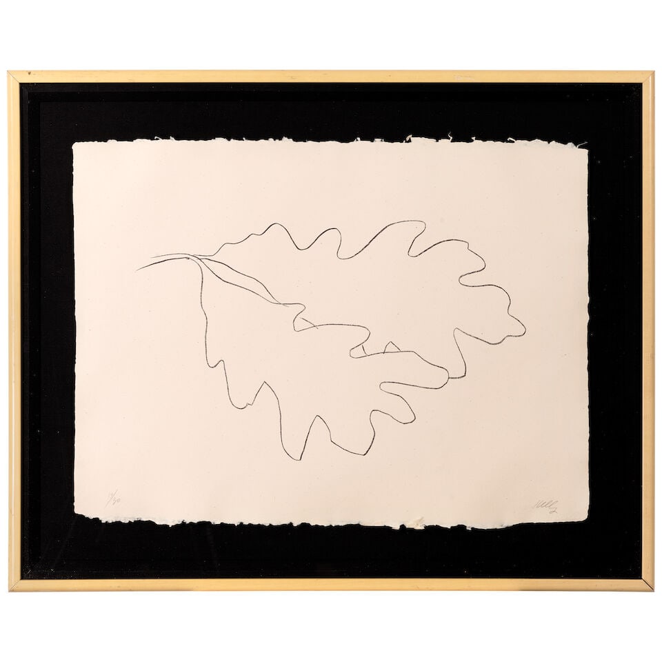 Ellsworth Kelly (1923-2015); Oak VII, from Oak Leaves; - 2