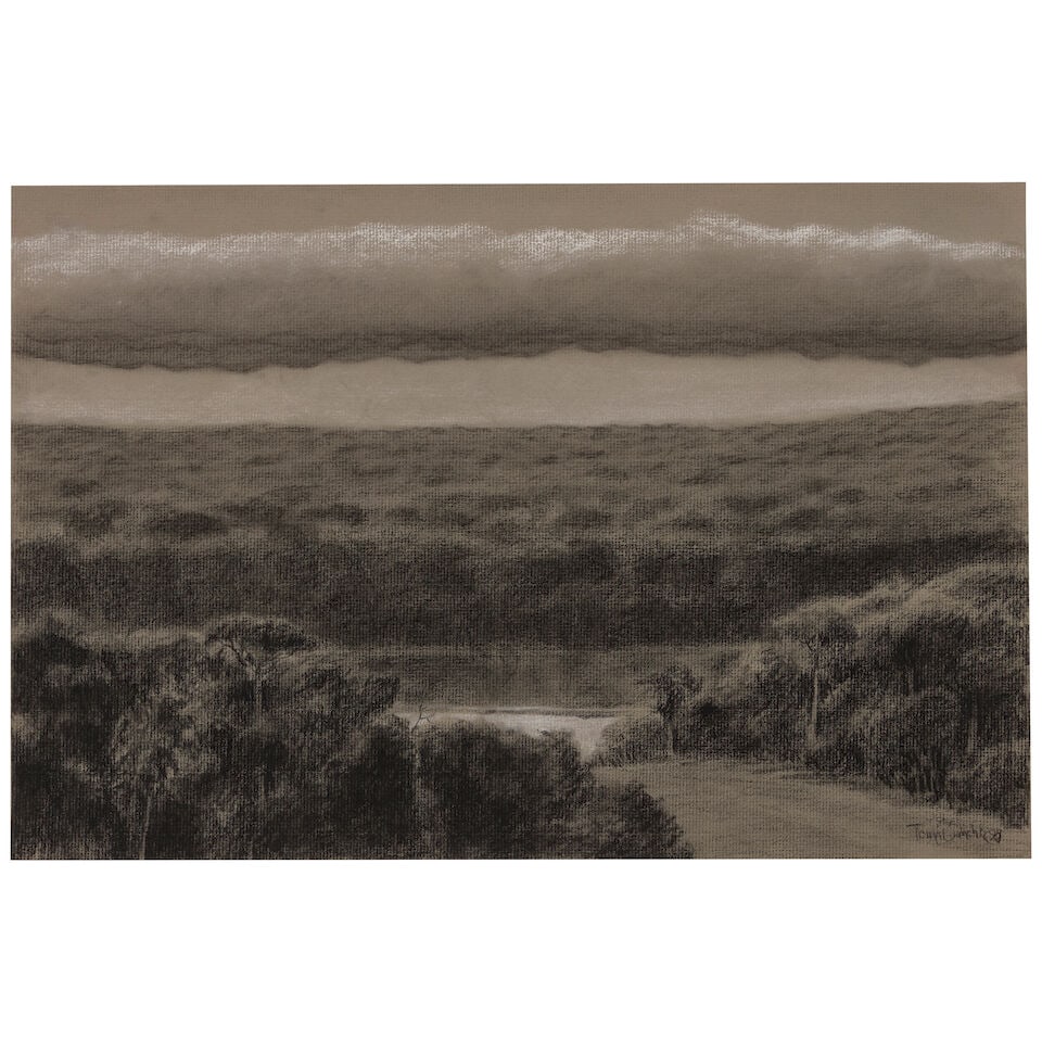 TOMÁS SÁNCHEZ (B. 1948) Untitled 11 3/4 x 17 1/2 in (28.3 x 44.5 cm) (Executed in 1998): TOMÁS SÁNCHEZ (B. 1948) Untitled signed and dated 'Tomas Sanchez 98' (lower right) conté crayon and pastel on paper 11 3/4 x 17 1/2 in (28.3 x 44.5 cm) Executed in