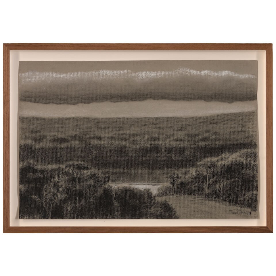 TOMÁS SÁNCHEZ (B. 1948) Untitled 11 3/4 x 17 1/2 in (28.3 x 44.5 cm) (Executed in 1998) - 2