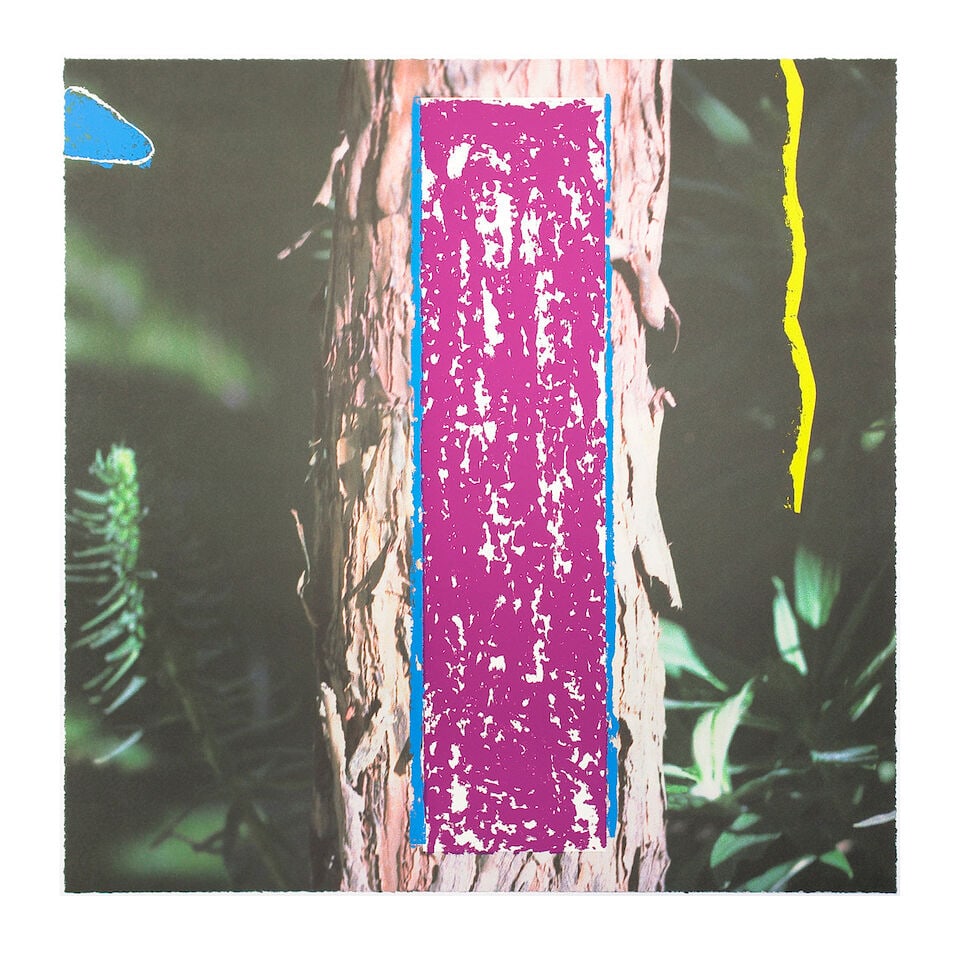 John Baldessari (American, 1931-2020) Tree, from 2623 Third Street, Santa Monica Lithograph with...: John Baldessari (American, 1931-2020) Tree, from 2623 Third Street, Santa Monica (Hurowitz 112) Lithograph with screenprint in colours, 2000, on Somerset Velvet wove paper, signed, dated and numbered