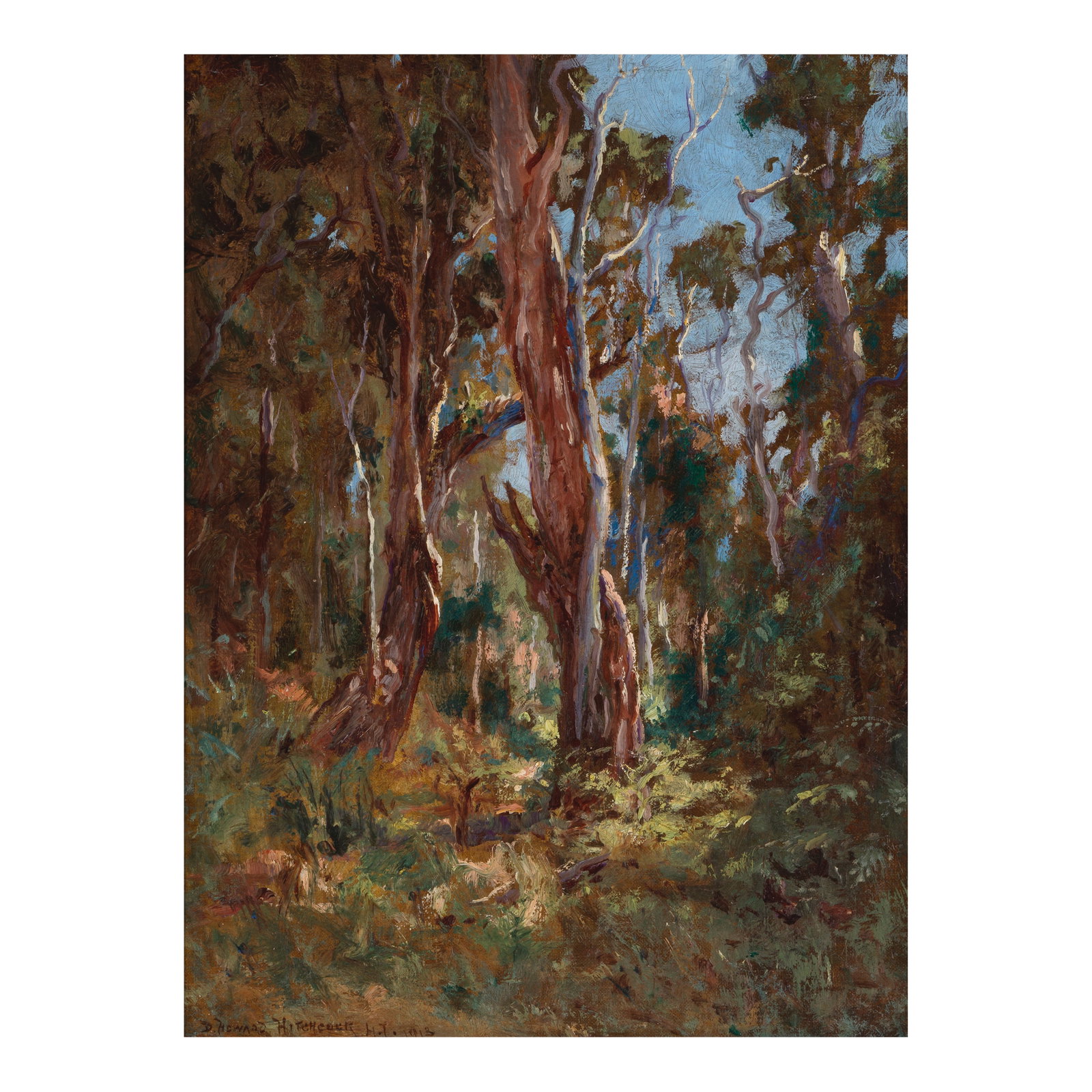 David Howard Hitchcock (1861-1943) Hawaiian Forest 16 x 12 in. (40.6 x 30.5 cm) (Painted in 1913.): David Howard Hitchcock (1861-1943) Hawaiian Forest signed and dated 'D. HOWARD HITCHCOCK H.I. 1913' (lower left) and titled (on the reverse) oil on canvas affixed to board 16 x 12 in. (40.6 x 30.5 cm)