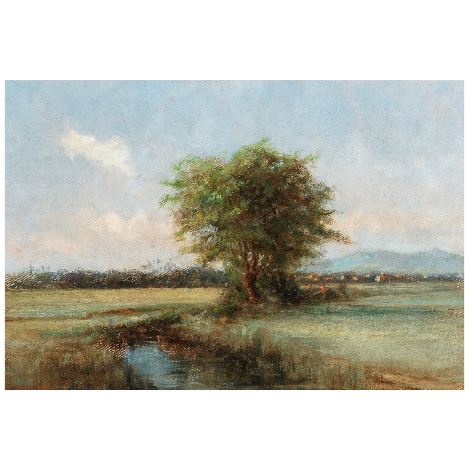 David Howard Hitchcock (1861-1943) Landscape with Kiawe Tree by a Stream 12 X 18 in. (1 of 1)