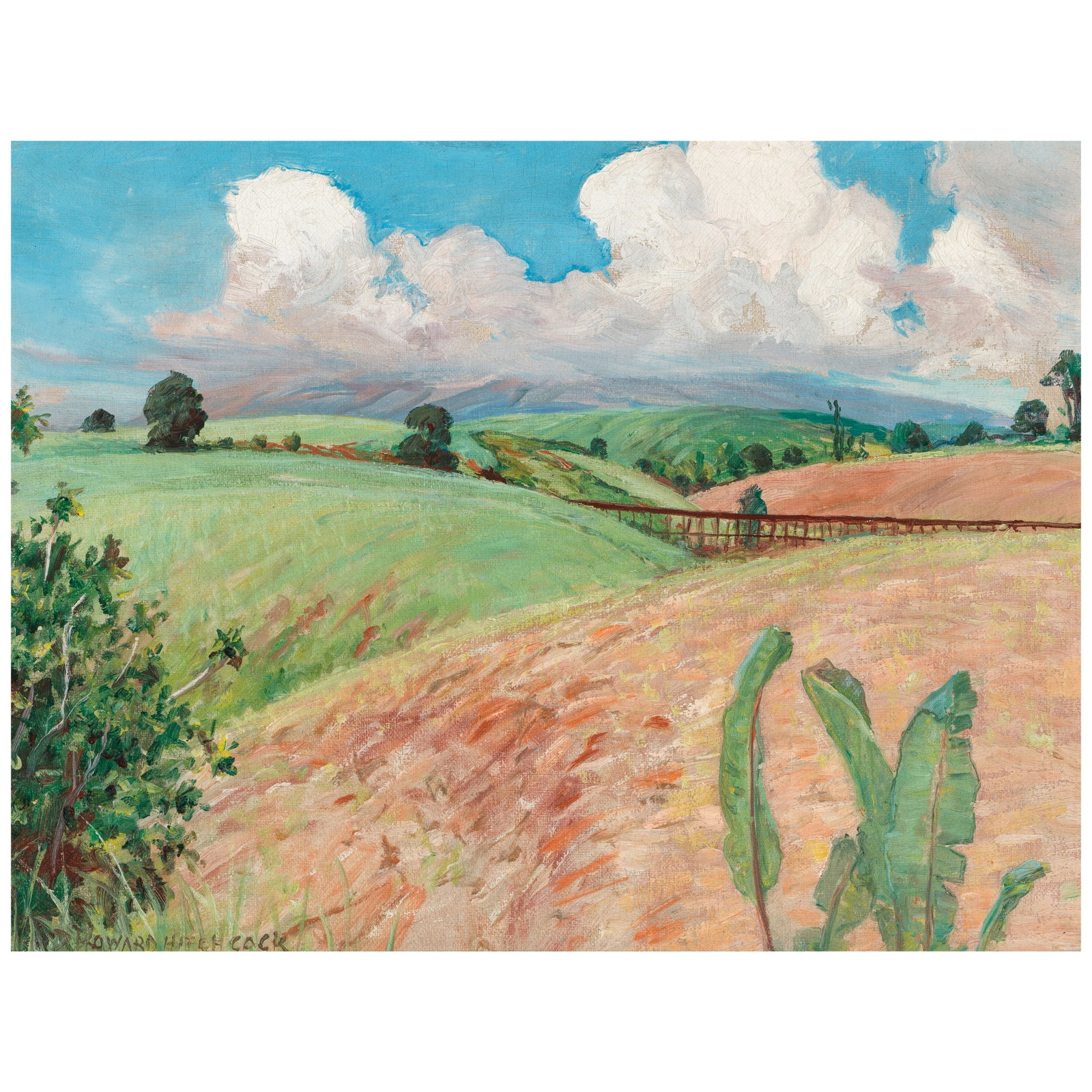 David Howard Hitchcock (1861-1943) Canefields, Big Island 12 x 16 in. (Painted circa 1928.) (1 of 1)