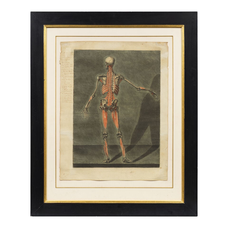 Arnaud Eloi Gautier d'Agoty (French, 1741-1780) Anatomical Studies: Plates IV and X, from Cours ... - 4