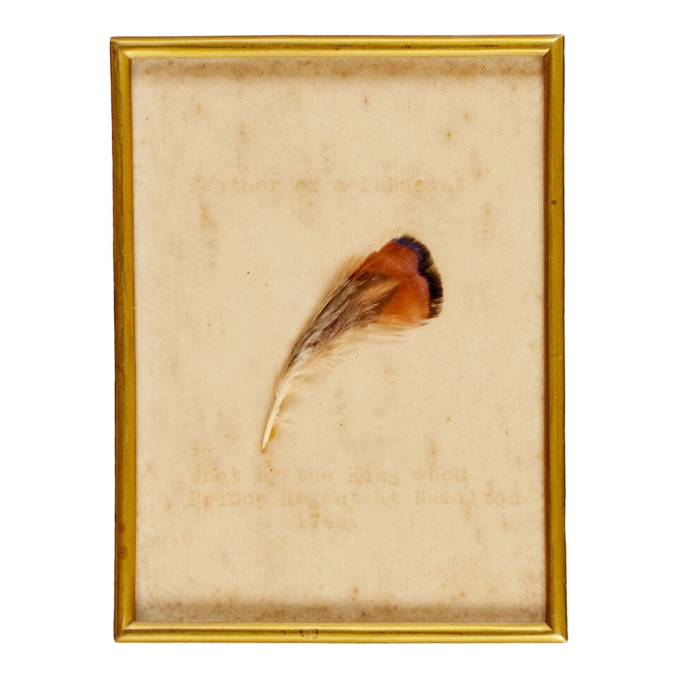 Of Jacobite interest: A frame pheasant feather (3) - 3