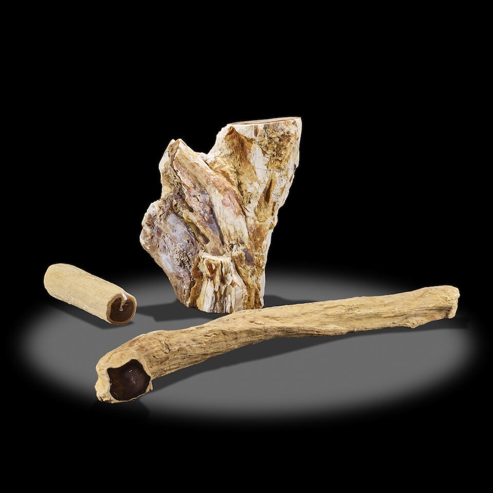 Three Petrified Wood Specimens: Three Petrified Wood Specimens Lot to be sold without reserve. This lot is subject to the following lot symbols: ¤ Bonhams or one of its affiliated companies within the Bonhams Group owns the