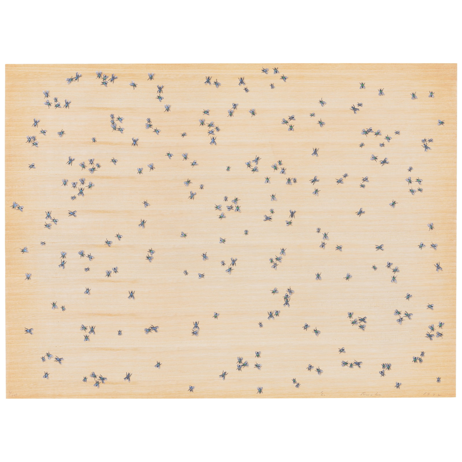 Ed Ruscha (born 1937); Insects; (1 of 1)
