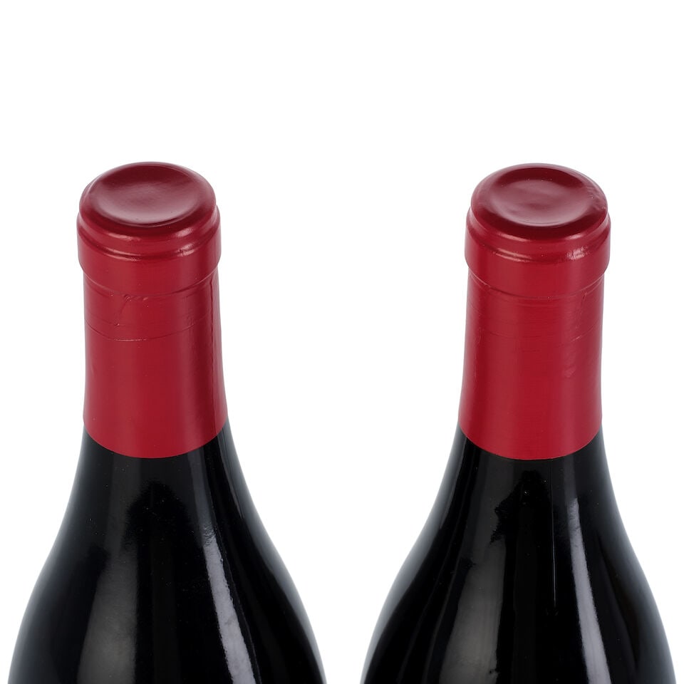 Domaine Leroy Coteaux Bourguignons, 2019 (2x 750ml) - 3