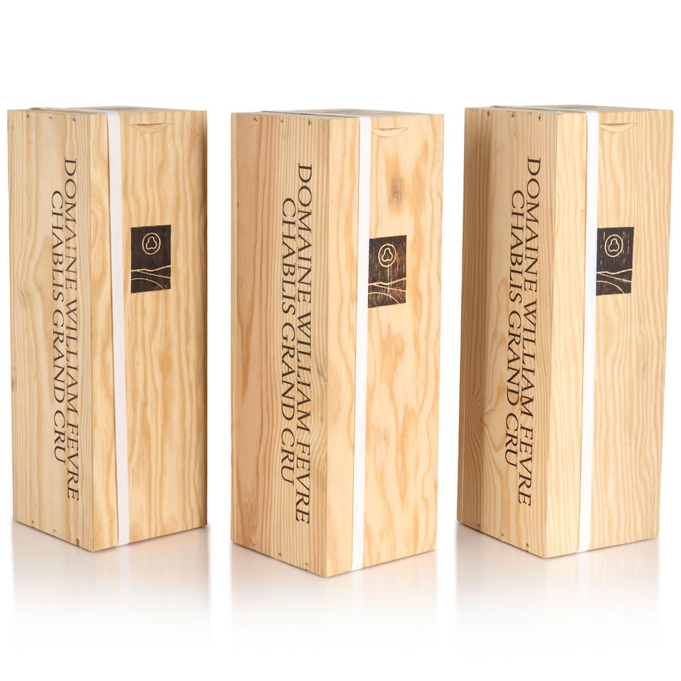 Domaine William Fevre, Chablis Bougros, 2020 (3 bottles, 1.5L) (1 of 1)