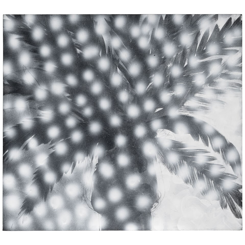 PETER ALEXANDER (1939-2020) Stardust 48 x 53 in (121.9 x 134.6 cm) (Painted in 1993): PETER ALEXANDER (1939-2020) Stardust signed, inscribed and dated 'STARDUST 93 Peter Alexander' (on the reverse) acrylic and charcoal on canvas 48 x 53 in (121.9 x 134.6 cm) Painted in 1993 Footnotes: 