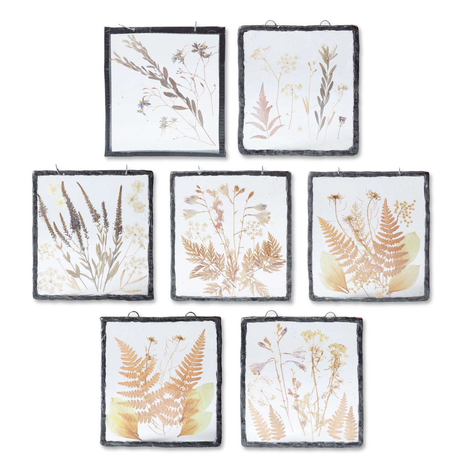 A collection of seven lead framed dried flowers and ferns First seen in Season 5, Episode 1, 'Th...: A collection of seven lead framed dried flowers and ferns First seen in Season 5, Episode 1, 'The Fiery Cross', for The Big House Surgery Set The dried flora set between two frames of light-weight cle