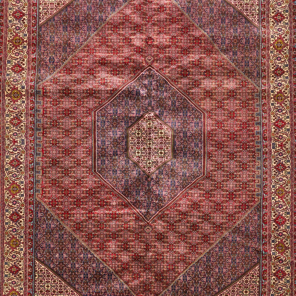 Bidjar Carpet 8 ft. 10 in. x 11 ft. 7 in. - 3