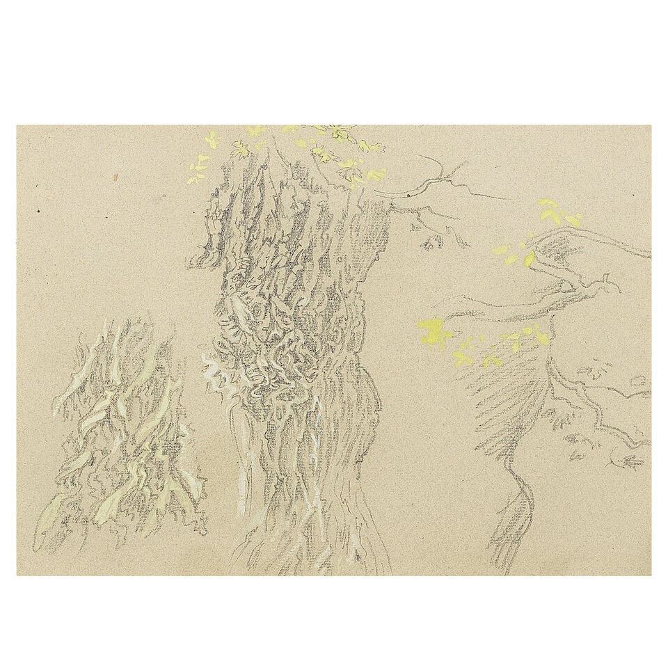 Studio of Sir Edward Coley Burne-Jones, Bt., ARA, RWS (British, 1833-1898) Study of trees (1 of 3)