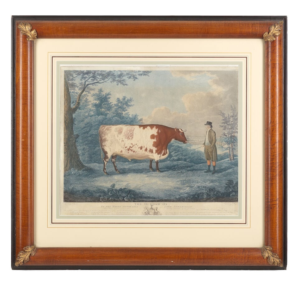 After John Boultbee (English, 1753-1812): An early 19th century coloured aquatint'The Durham Ox'... - 2