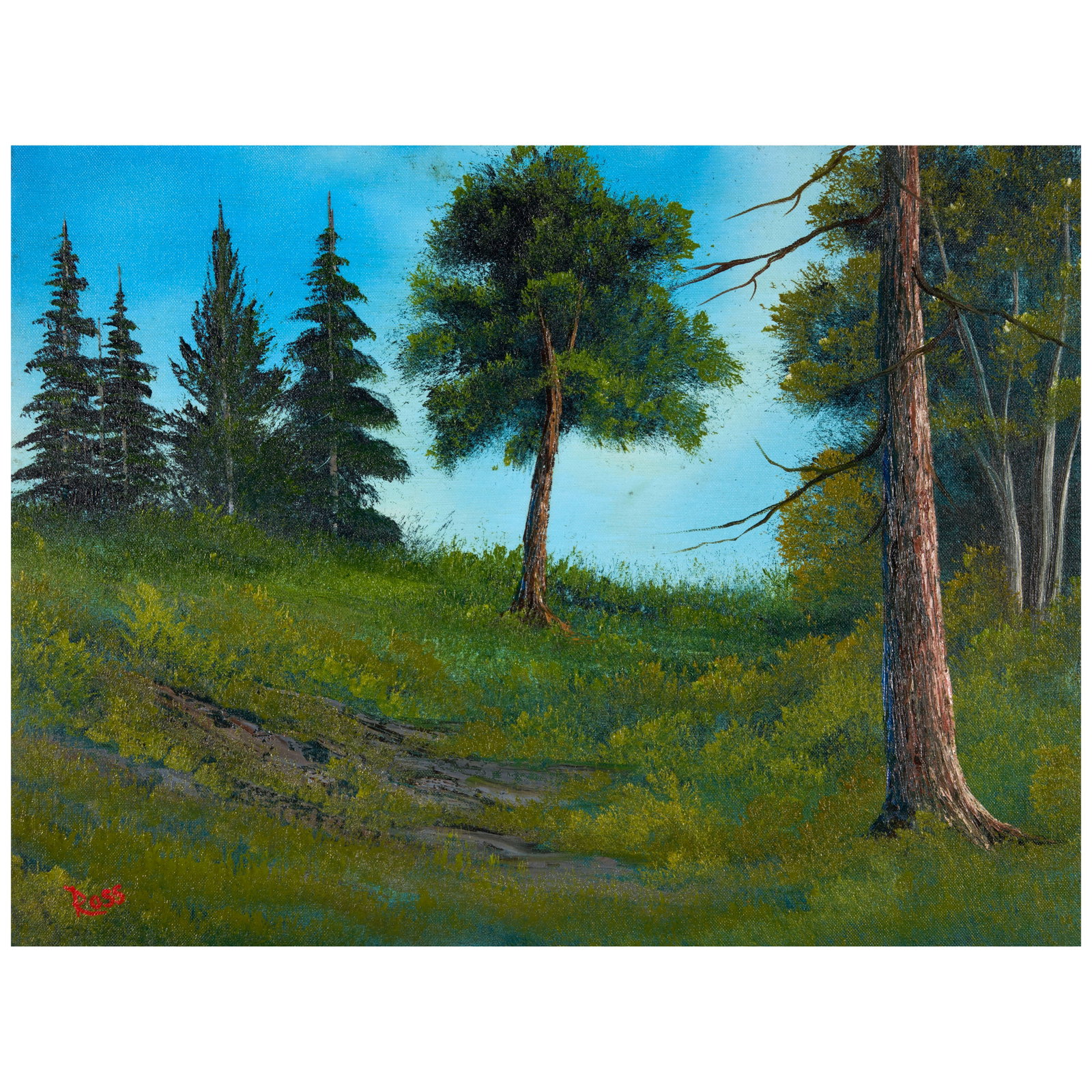 BOB ROSS (1942-1995) Untitled (Woodland Clearing in Summertime) 18 x 24 in. (45.7 x 61.0 cm.) (P...: BOB ROSS (1942-1995) Untitled (Woodland Clearing in Summertime) signed 'Ross' (lower left) Bob Ross Wet-on-Wet Technique® on canvas 18 x 24 in. (45.7 x 61.0 cm.) Painted circa 1983. Footnotes: A