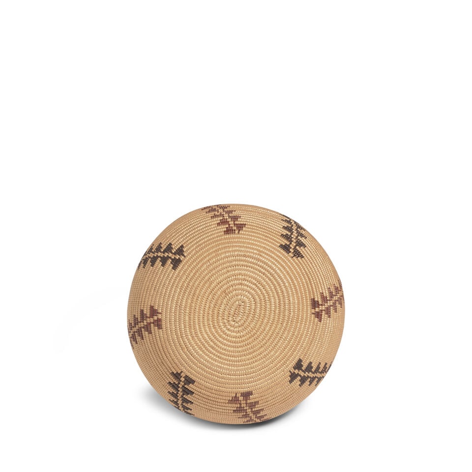 A Tootsie Dick Sam, Washoe polychrome degikup basket - 2