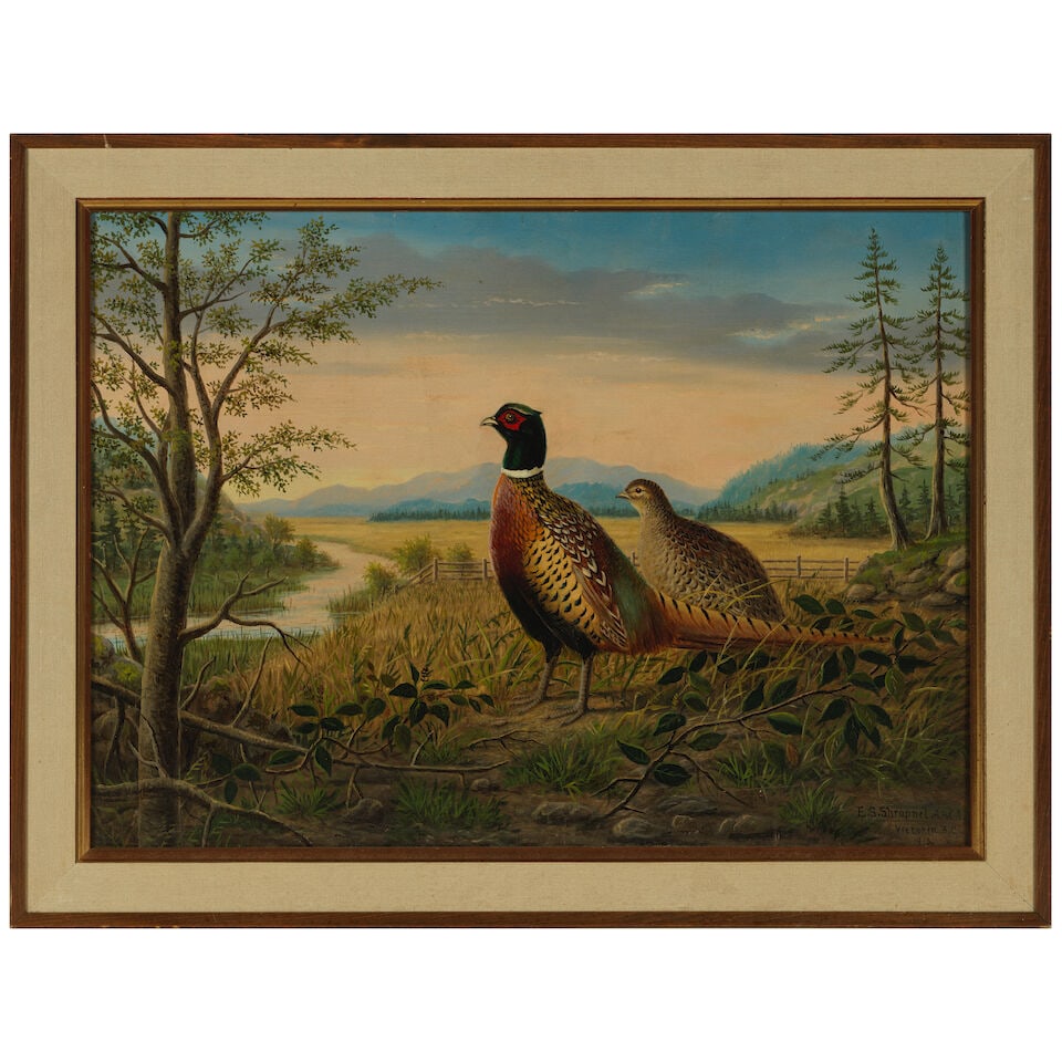 Edward Scrope Shrapnel (British/Canadian, 1847-1920) Pheasants in a Landscape (framed 68.0 x 88.... - 2