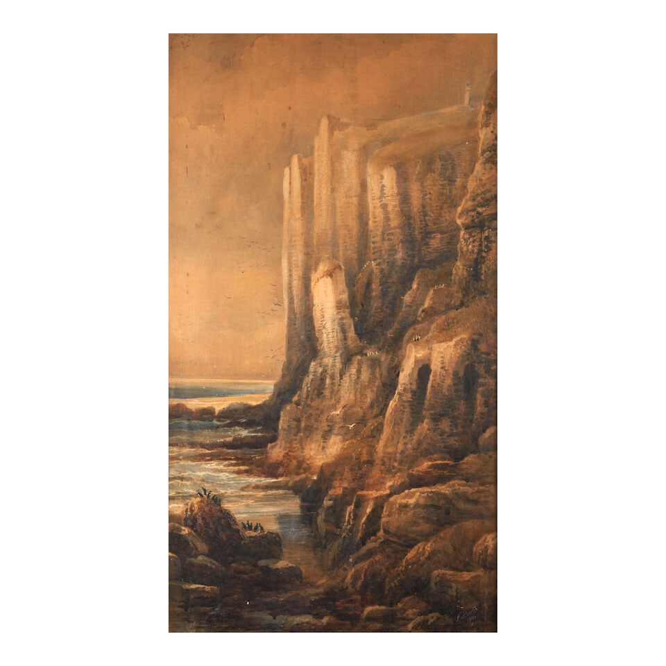 Anglo-American School (19th Century) Penguin Perched on Seaside Cliffs (1 of 4)
