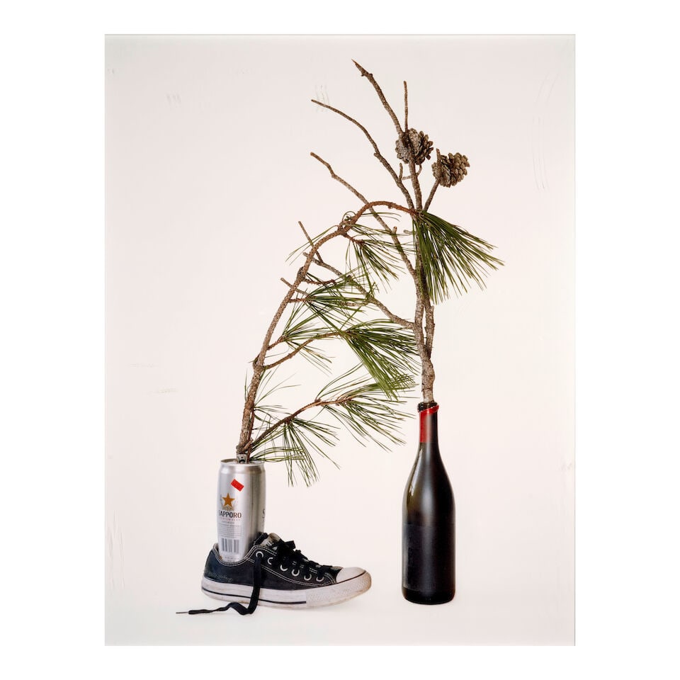 Hanna Linden (born 1976); Pines; (1 of 2)