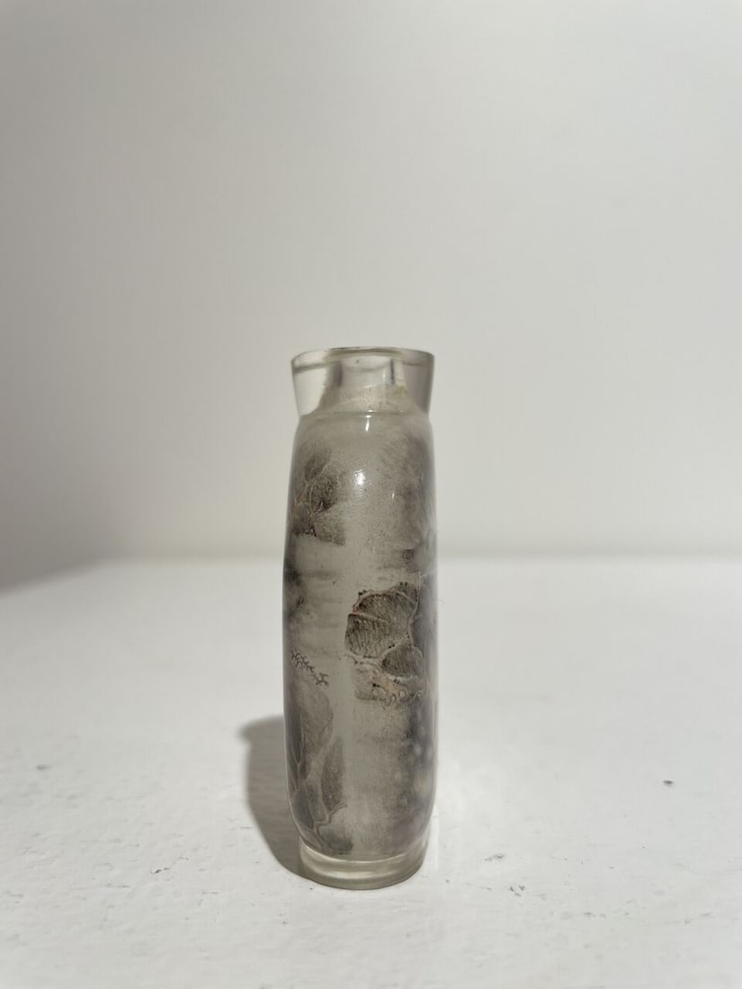 AN INSIDE PAINTED GLASS 'LANDSCAPE' SNUFF BOTTLE 19th century - 8