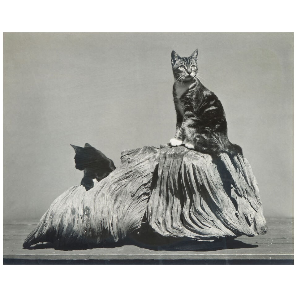 Edward Weston (American, 1886-1958); 'Marco Polo + Jasmine'; (1 of 3)