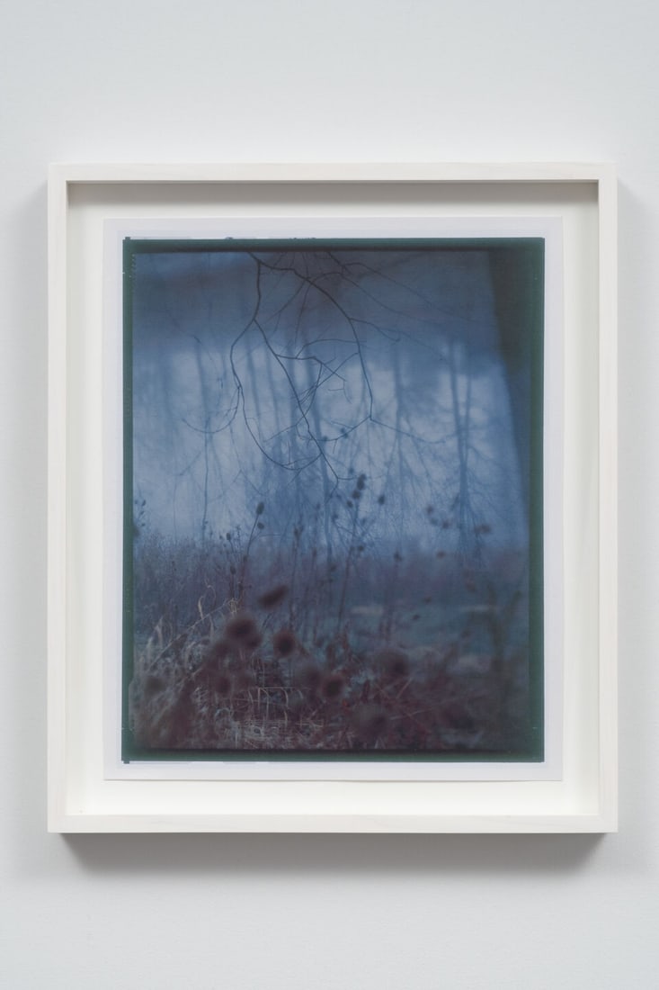 STEVE MACLEOD (B. 1965) A Future Past (Executed in 2025, this work is number 1 from an edition o...: STEVE MACLEOD (B. 1965) A Future Past signed, titled and dated on the reverse archival matte giclee print framed: 36.8 x 31.4cm (14 1/2 x 12 3/8in). Executed in 2025, this work is number 1 from an edi