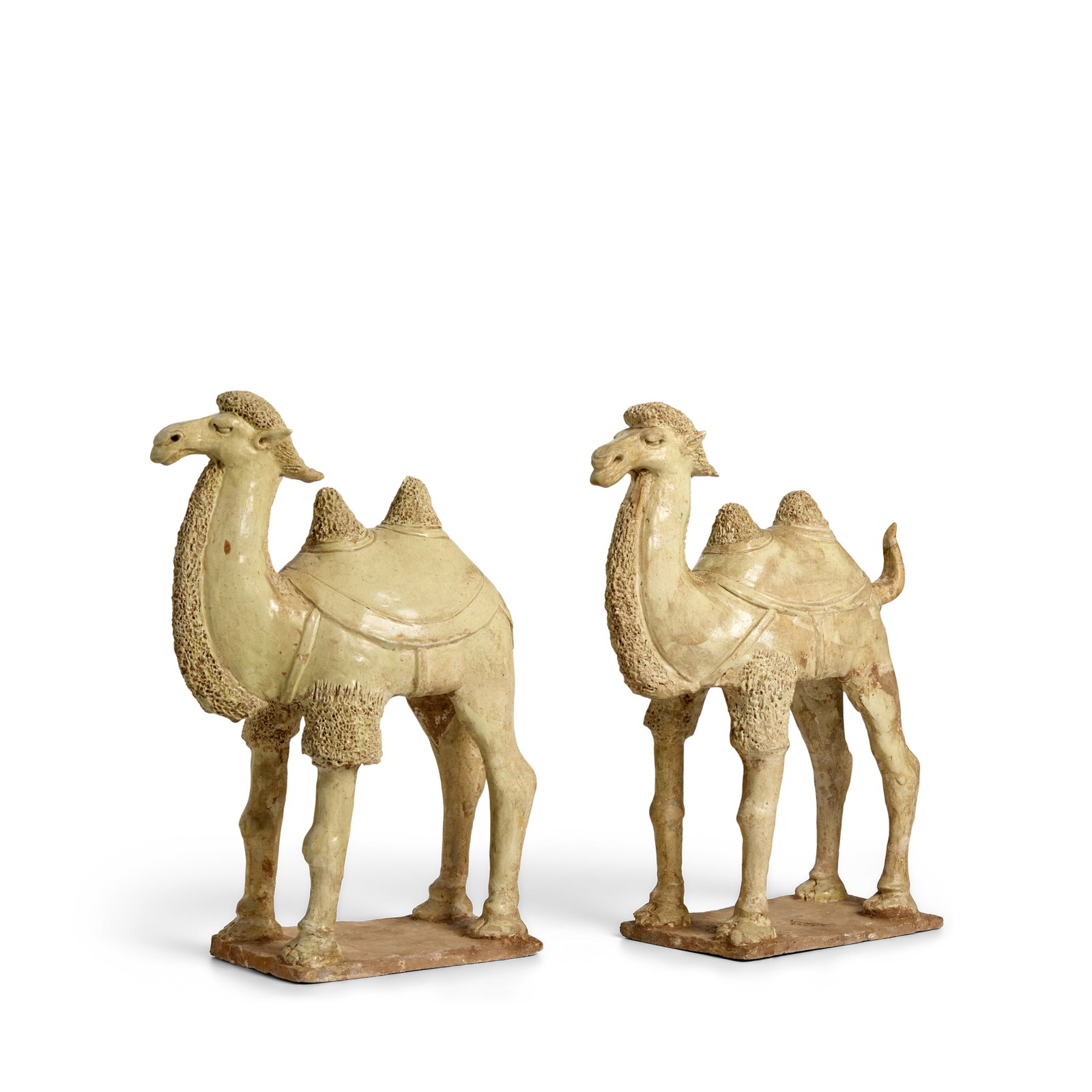 A PAIR OF STRAW-GLAZED POTTERY CAMELS Tang Dynasty (2) (1 of 1)