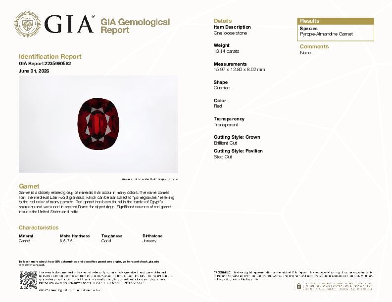 ONE LOOSE GARNET WITH GIA REPORT - 2