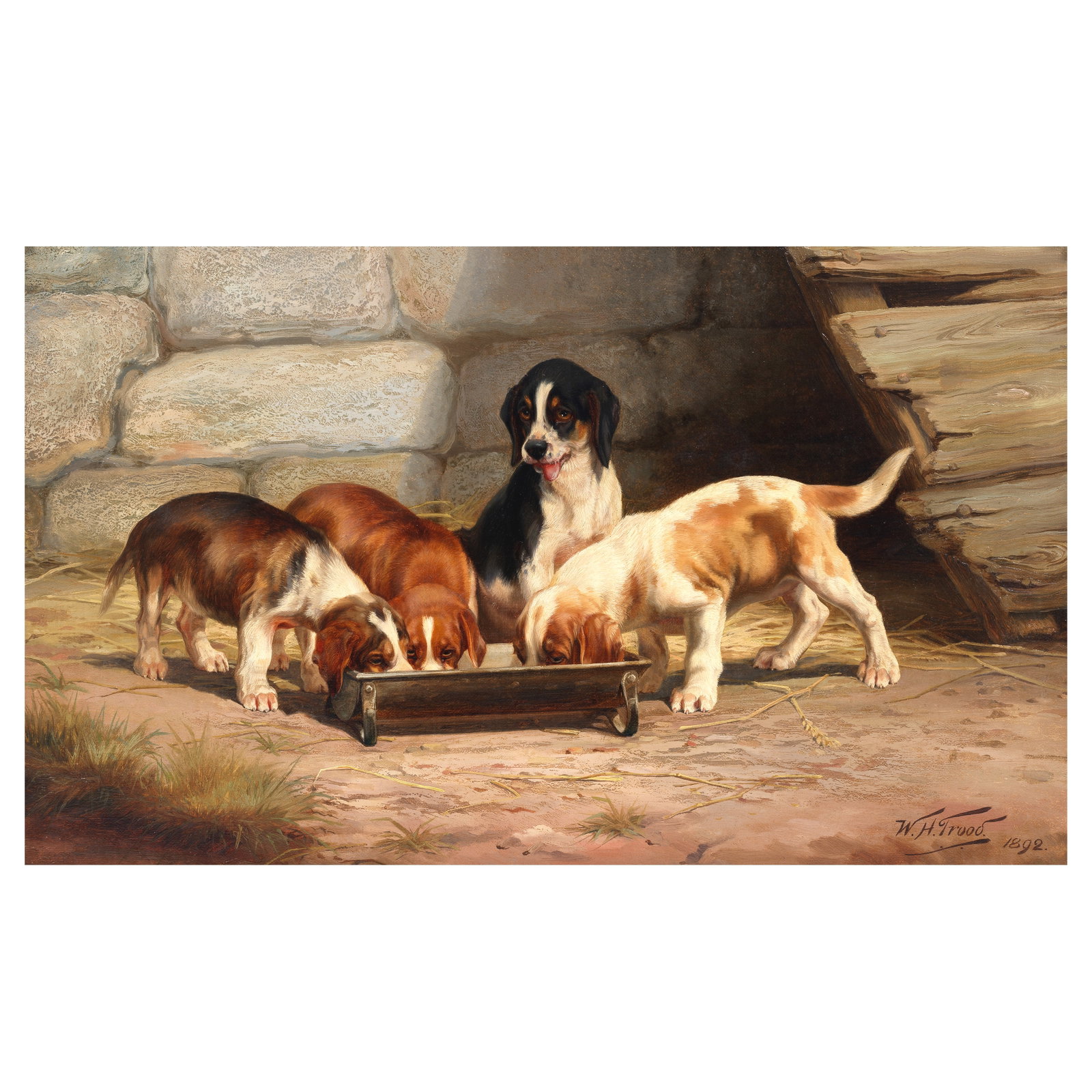William Henry Hamilton Trood (British, 1848-1899) Hungry little Harriers: William Henry Hamilton Trood (British, 1848-1899) Hungry little Harriers signed and dated 'W.H.Trood. 1892.' (lower right) oil on canvas 32 x 51cm (12 5/8 x 20 1/16in). Footnotes: Provena