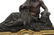 French Bronze Mantle Clock, (Henri Picard) - 3