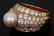 Cartier 18K Gold, Diamond & Pearl Ring - 8