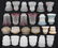 Group of 24 Glass Shades
