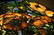 Tiffany Studios Oriental Poppy Chandelier - 6
