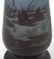 Gallé Cameo Glass Iris Vase - 5
