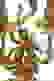 item-95798659=3
