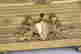 item-102237201=4