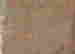 item-102237219=5