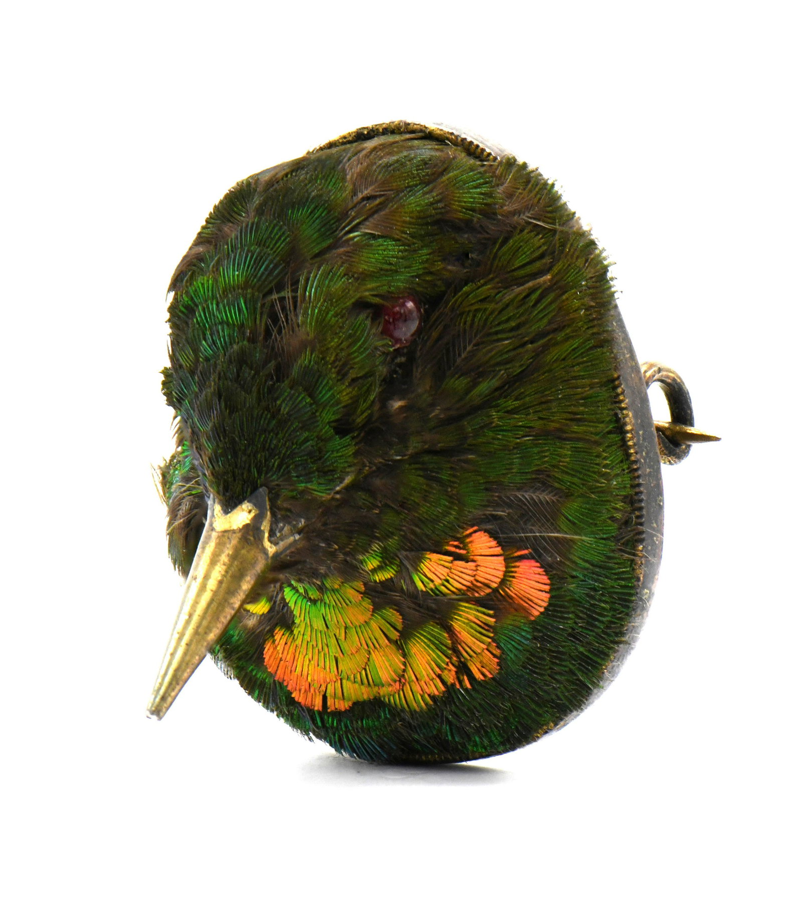 Victorian Taxidermy Hummingbird Brooch (1 of 3)