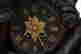 item-111239236=4