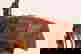 item-8124274=2